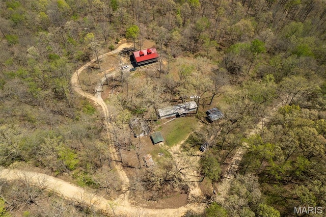 124 Wayne 527, Greenville, MO 63944 - aerial view