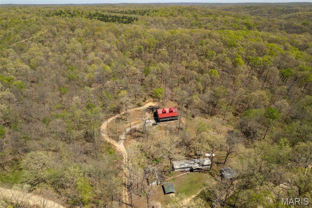 124 Wayne 527, Greenville, MO 63944 - drone / aerial view of a forest