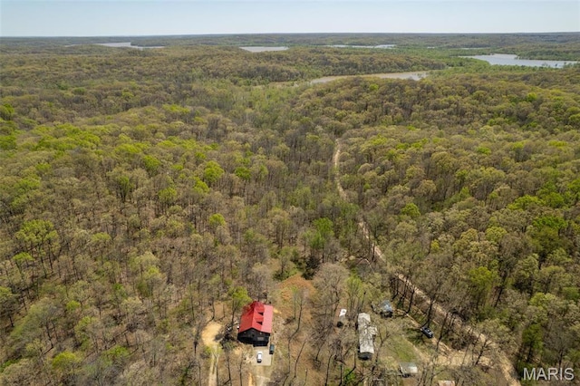 124 Wayne 527, Greenville, MO 63944 - bird's eye view of a heavily wooded area and a large body of water