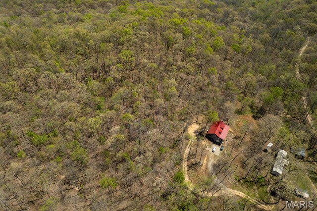 124 Wayne 527, Greenville, MO 63944 - drone / aerial view of a heavily wooded area