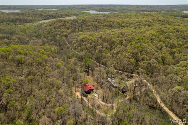 124 Wayne 527, Greenville, MO 63944 - drone / aerial view of a forest