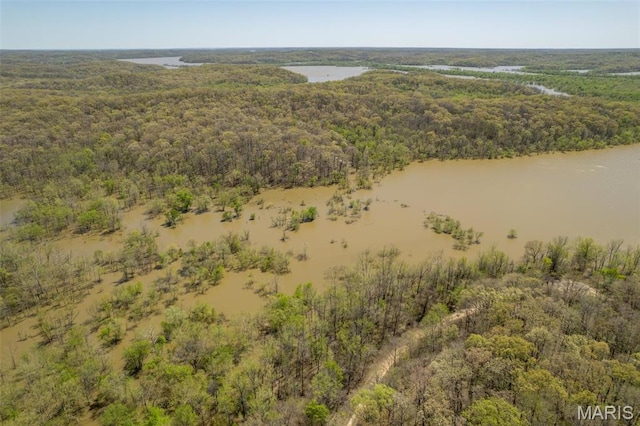 124 Wayne 527, Greenville, MO 63944 - bird's eye view of a heavily wooded area and a nearby body of water