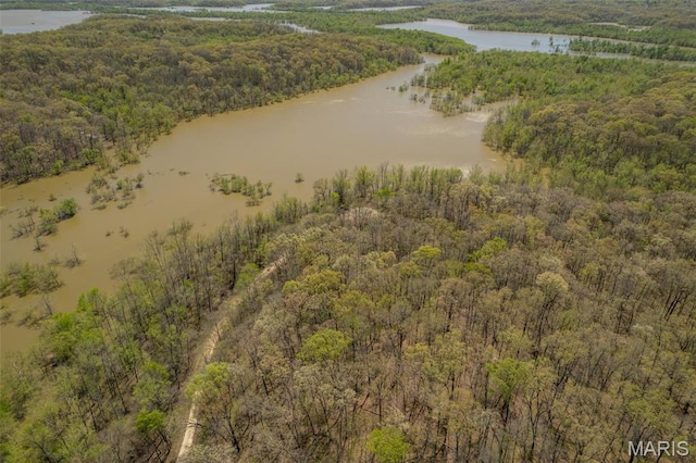 124 Wayne 527, Greenville, MO 63944 - drone / aerial view of a heavily wooded area and a nearby body of water