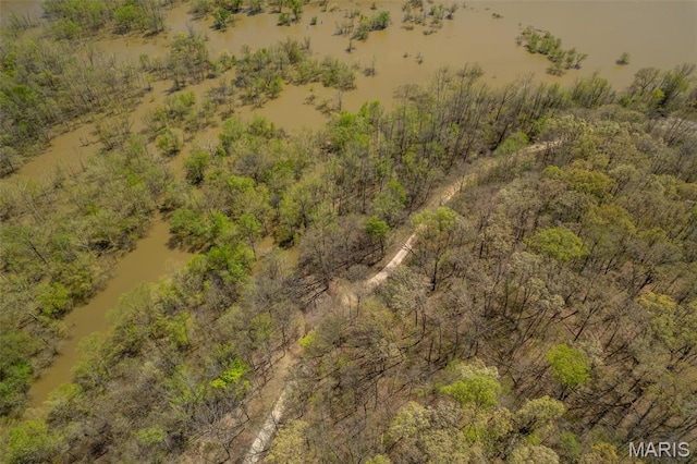 124 Wayne 527, Greenville, MO 63944 - bird's eye view