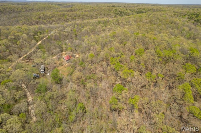 124 Wayne 527, Greenville, MO 63944 - bird's eye view of a heavily wooded area