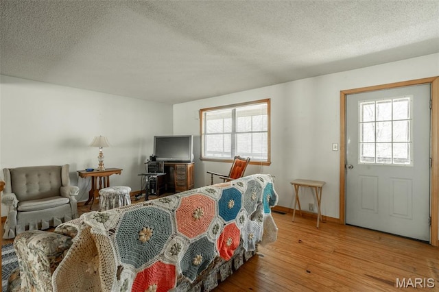 124 Wayne 527, Greenville, MO 63944 - living area featuring a textured ceiling, healthy amount of natural light, wood finished floors, and baseboards