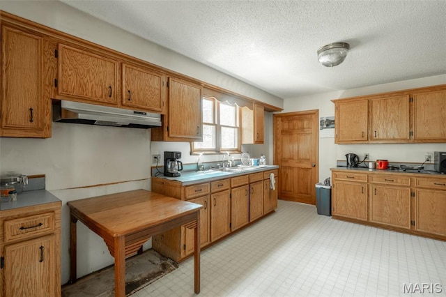 124 Wayne 527, Greenville, MO 63944 - kitchen with under cabinet range hood, brown cabinetry, a textured ceiling, light countertops, and a sink