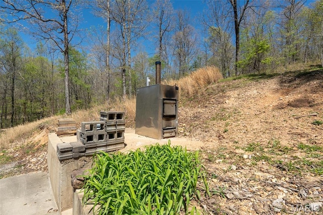 124 Wayne 527, Greenville, MO 63944 - exterior view