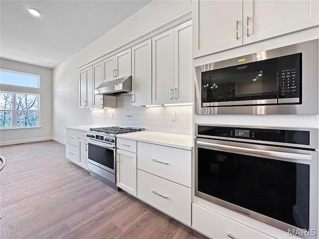 204 Great Bear Pass, Foristell, MO 63348 - kitchen with stainless steel appliances, under cabinet range hood, light wood-style flooring, tasteful backsplash, and light countertops