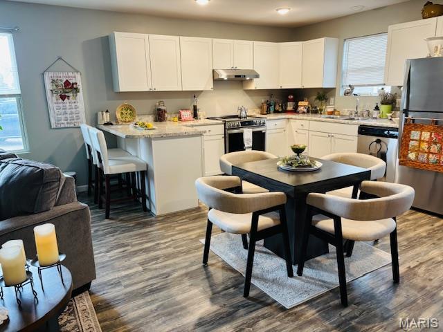 9 Mcleod St Unit A, Cuba, MO 65453 - kitchen with under cabinet range hood, stainless steel appliances, dark wood-style floors, white cabinets, and recessed lighting