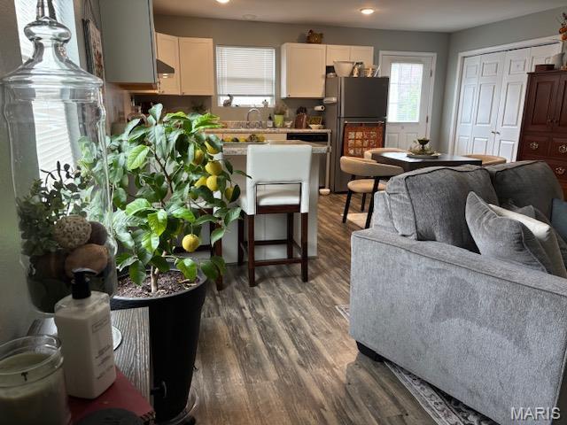 9 Mcleod St Unit A, Cuba, MO 65453 - living area with plenty of natural light, dark wood-style flooring, and recessed lighting