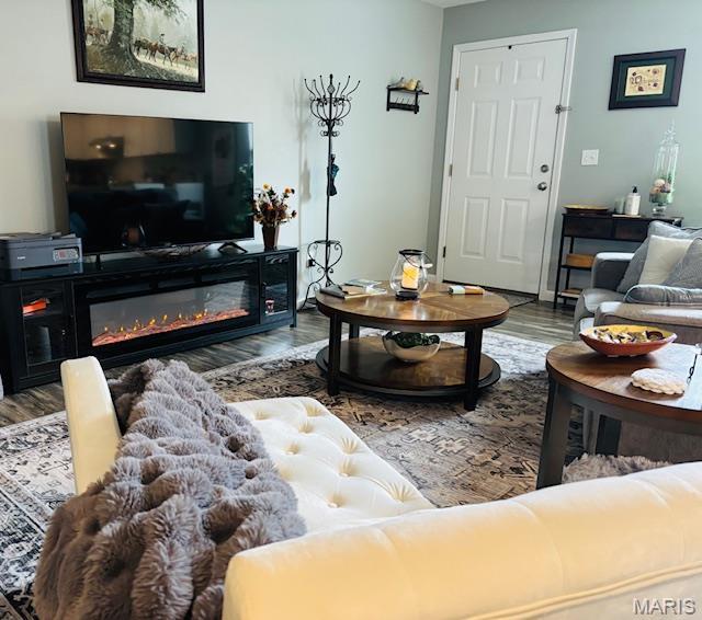 9 Mcleod St Unit A, Cuba, MO 65453 - living area featuring wood finished floors and a glass covered fireplace