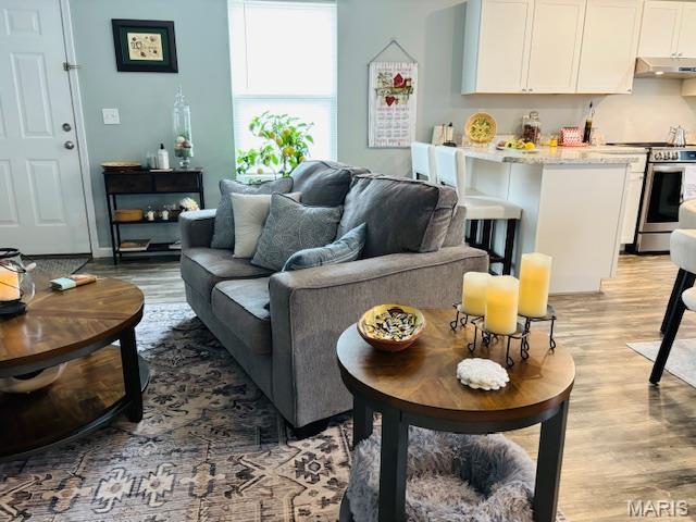 9 Mcleod St Unit A, Cuba, MO 65453 - living area featuring light wood-style flooring