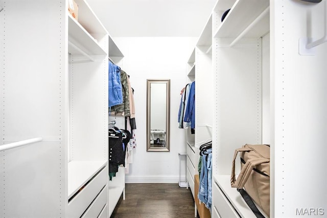 spacious closet featuring dark wood-style flooring