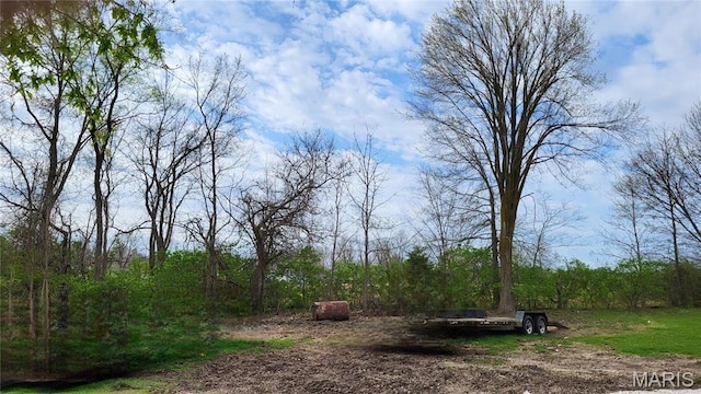 731 Old Moscow Mills Rd, Troy, MO 63379 - view of yard