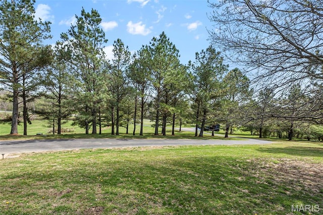 3333 State Highway 177, Cape Girardeau, MO 63701 - view of grassy yard
