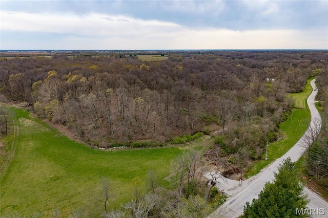 8654 Possum Hill Rd, Worden, IL 62097 - photo 3