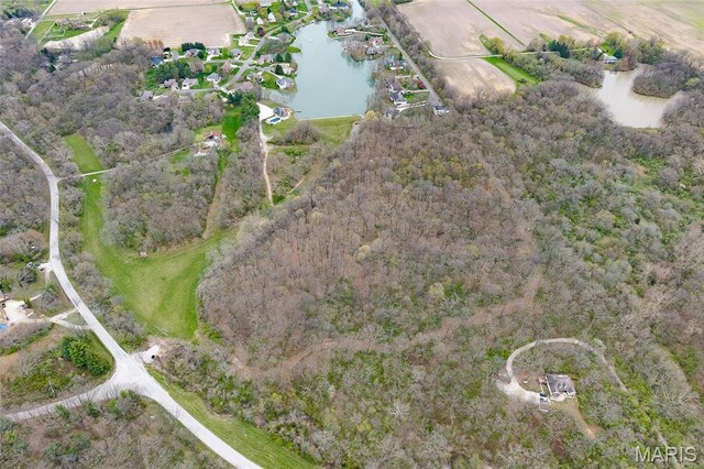8654 Possum Hill Rd, Worden, IL 62097 - photo 4