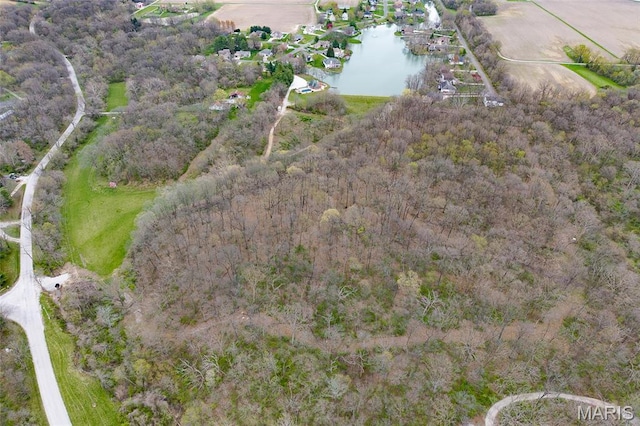 8654 Possum Hill Rd, Worden, IL 62097 - photo 5