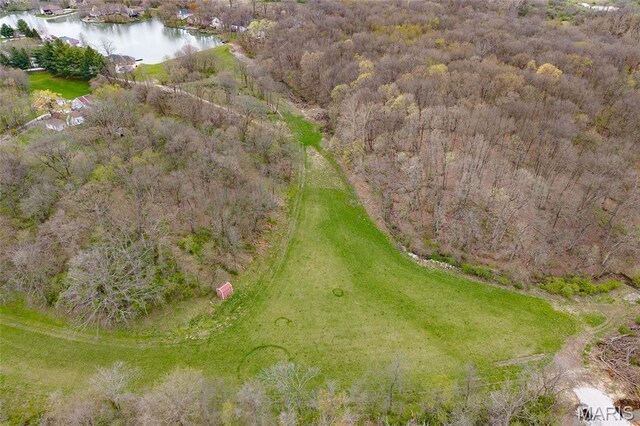 8654 Possum Hill Rd, Worden, IL 62097 - photo 7