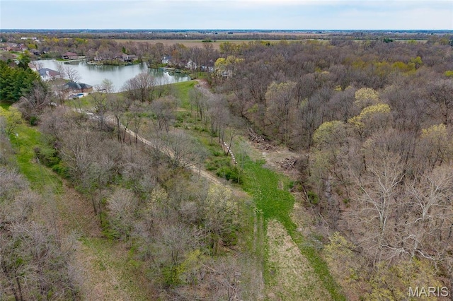 8654 Possum Hill Rd, Worden, IL 62097 - photo 9