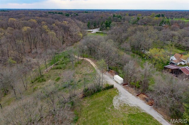 8654 Possum Hill Rd, Worden, IL 62097 - photo 10