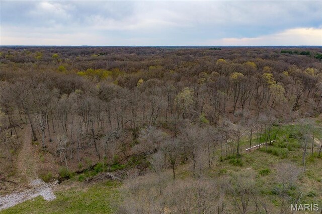 8654 Possum Hill Rd, Worden, IL 62097 - photo 11