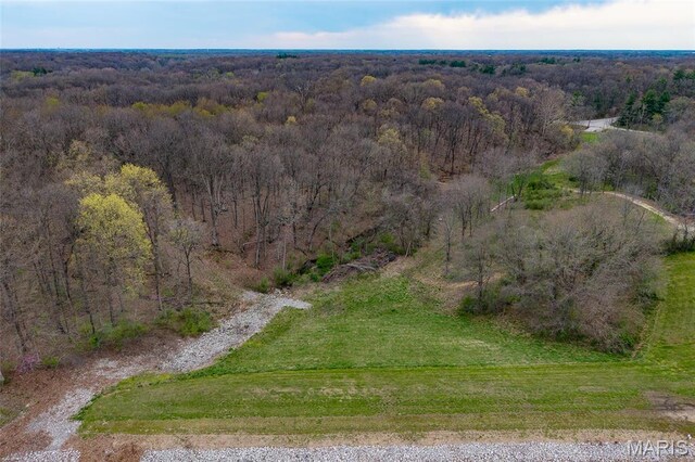 8654 Possum Hill Rd, Worden, IL 62097 - photo 12