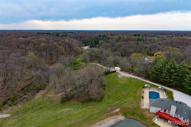 8654 Possum Hill Rd, Worden, IL 62097 - photo 13