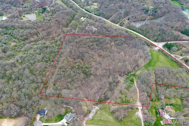 8654 Possum Hill Rd, Worden, IL 62097 - photo 14