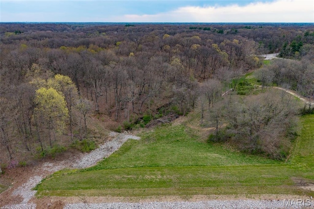 8654 Possum Hill Rd, Worden, IL 62097 - photo 16