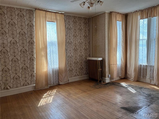 904 S Jackson St, Belleville, IL 62220 - photo 4