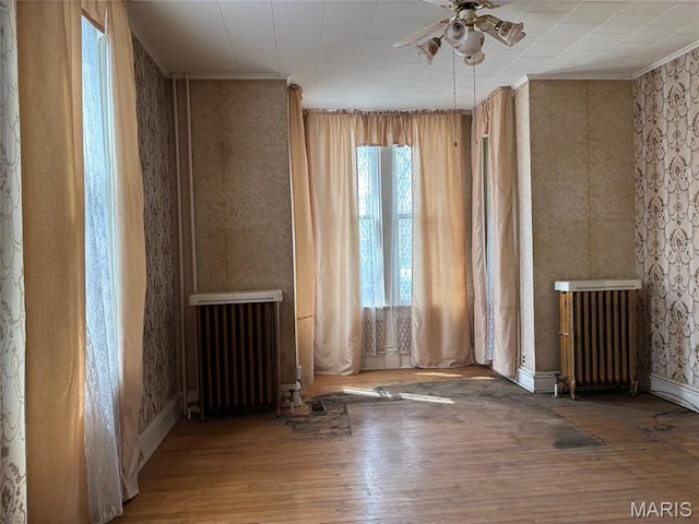 904 S Jackson St, Belleville, IL 62220 - photo 5