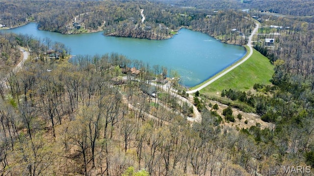 276 Cheyenne Ln, Perryville, MO 63775 - view of property location with a forest and a large body of water