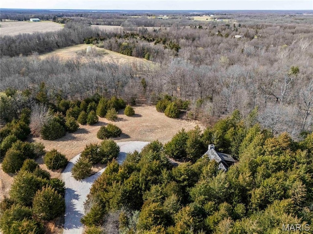 drone / aerial view of a forest