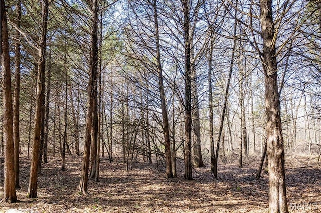 view of undeveloped land