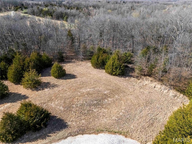 view of wooded area