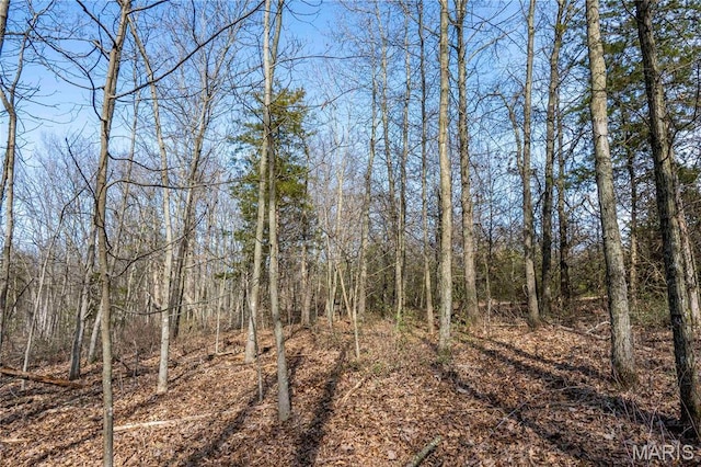 view of wooded area
