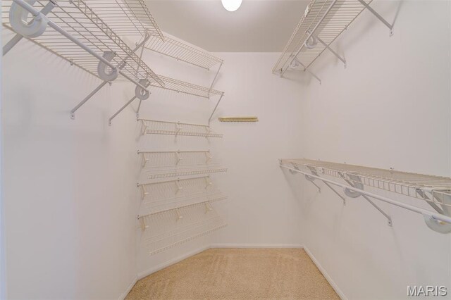 228 Hemingway Ln Unit F, Weldon Spring, MO 63304 - walk in closet featuring light colored carpet