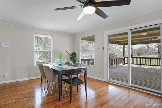 dining room with wood finished floors, a ceiling fan, and baseboards