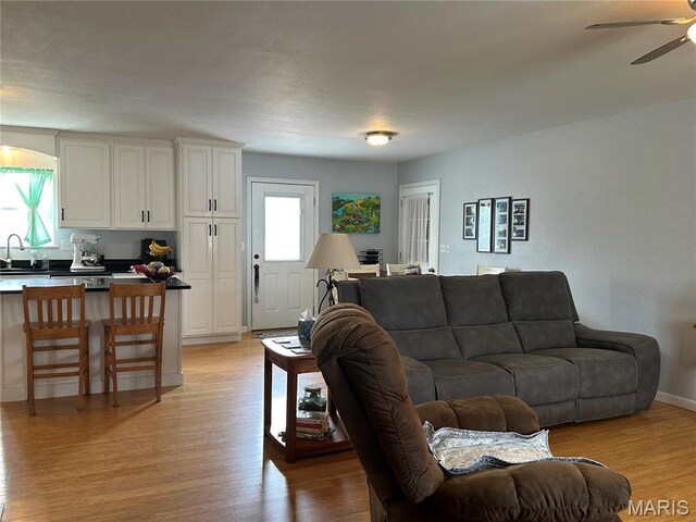 404 Crystal Ln, Rosebud, MO 63091 - living room with ceiling fan and light wood-type flooring