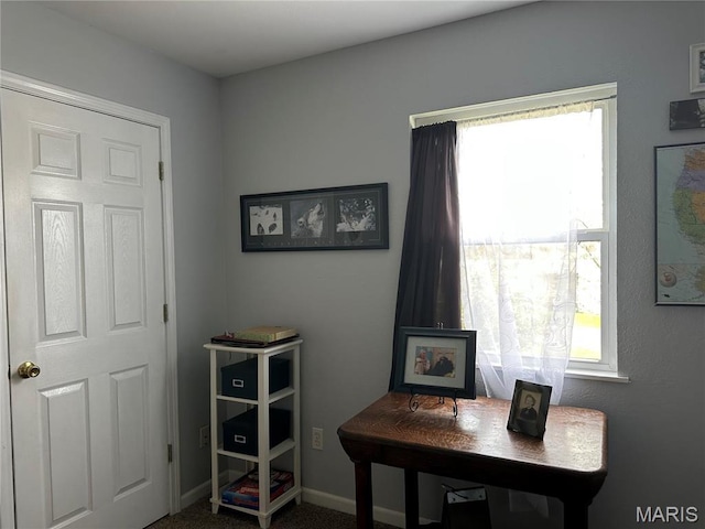 404 Crystal Ln, Rosebud, MO 63091 - carpeted office space featuring healthy amount of natural light and baseboards