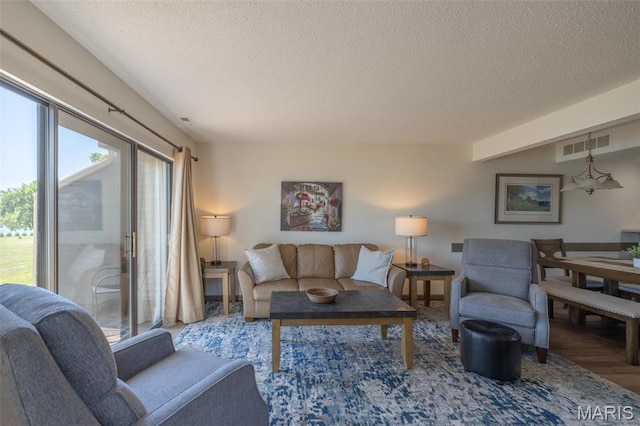 31 N Lionshead Dr, Innsbrook, MO 63390 - living room featuring a textured ceiling and wood finished floors