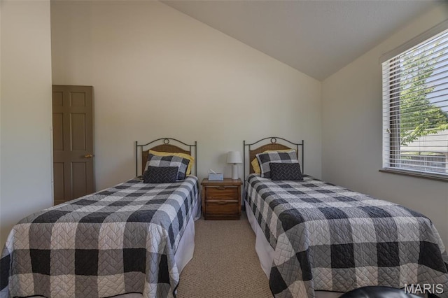 31 N Lionshead Dr, Innsbrook, MO 63390 - carpeted bedroom featuring vaulted ceiling and multiple windows