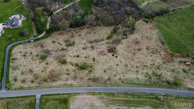 0 Lageman Ln, Brighton, IL 62012