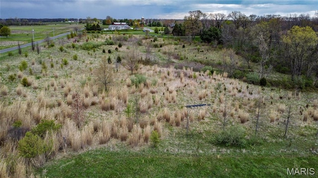 0 Lageman Ln, Brighton, IL 62012
