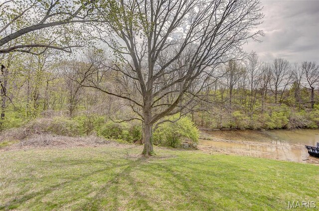 view of grassy yard with a wooded view