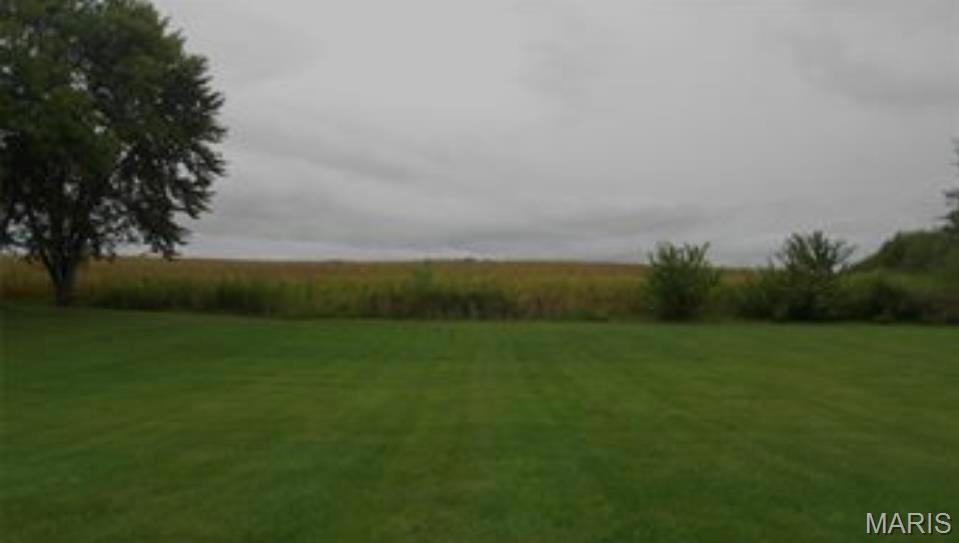 1102 Cherry St, Bartelso, IL 62218 - photo 1