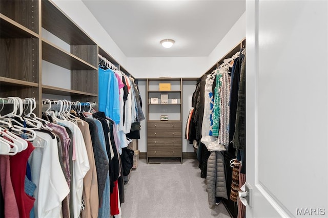 13750 Stonemont Ct, Town And Country, MO 63131 - spacious closet with carpet flooring