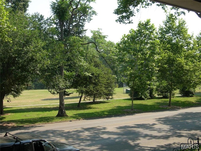 3868 Arsenal St, Saint Louis, MO 63116 - photo 3